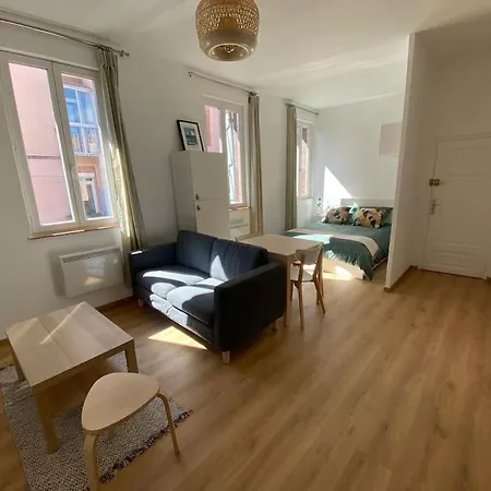 Apartament Le Petit Minimes Au Bord Du Canal Du Midi Tuluza