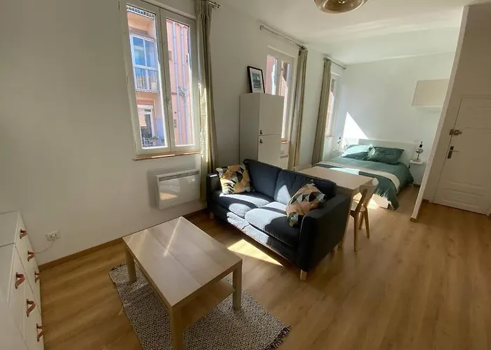 Le Petit Minimes Au Bord Du Canal Du Midi