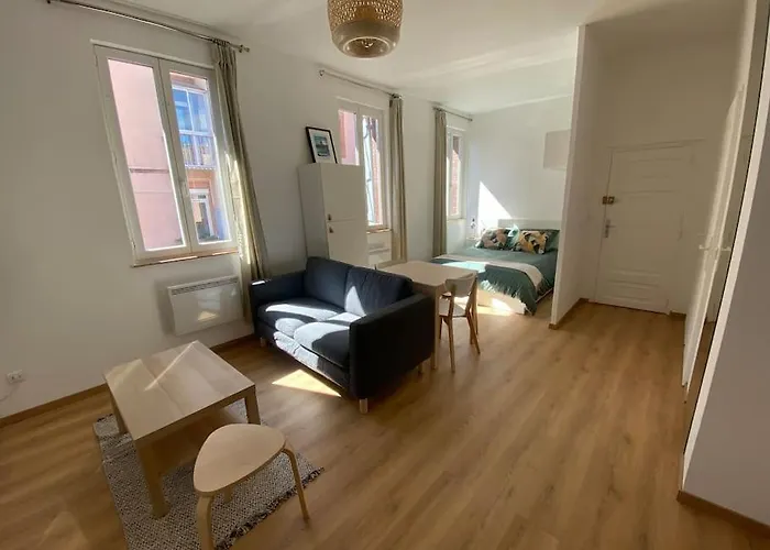 Lägenhet Le Petit Minimes Au Bord Du Canal Du Midi Toulouse