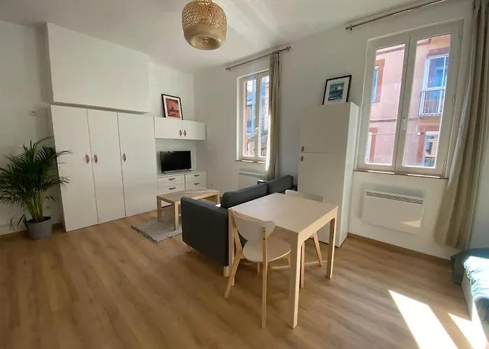 Le Petit Minimes Au Bord Du Canal Du Midi Apartamento